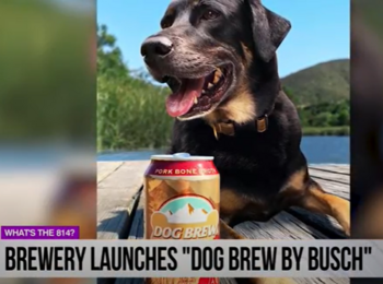 dog-brew.PNG