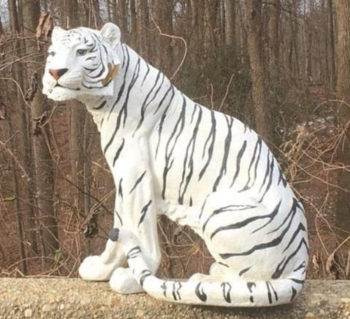 white-tiger.PNG